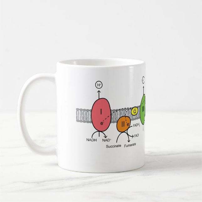 Electron Transport Chain Mug (Left)