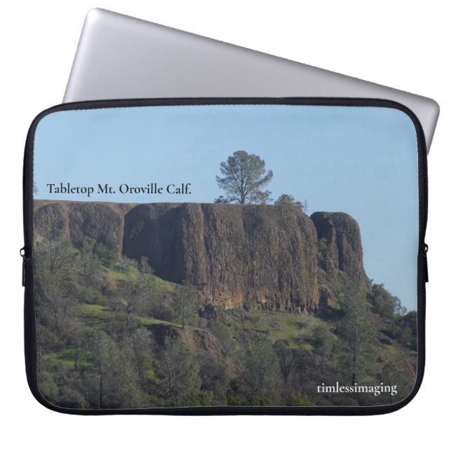 Electronics Bag (Front)