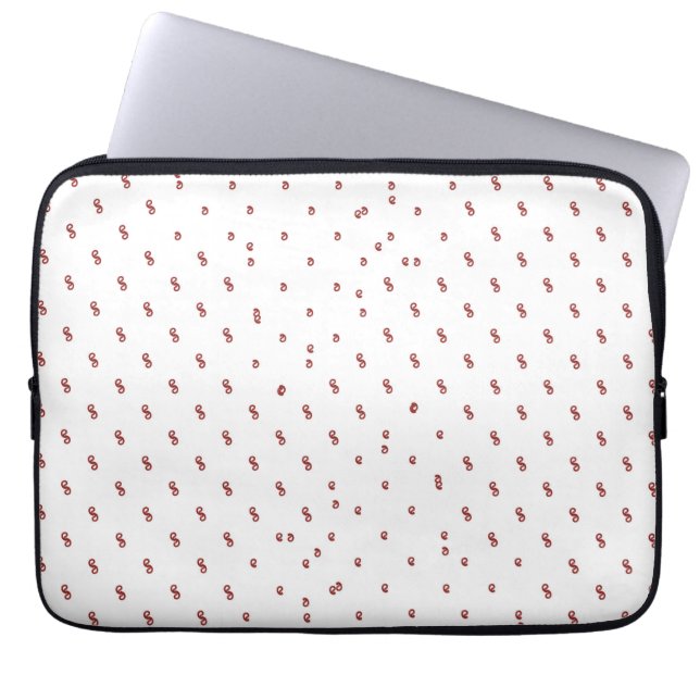 Electronics Bag (Front)