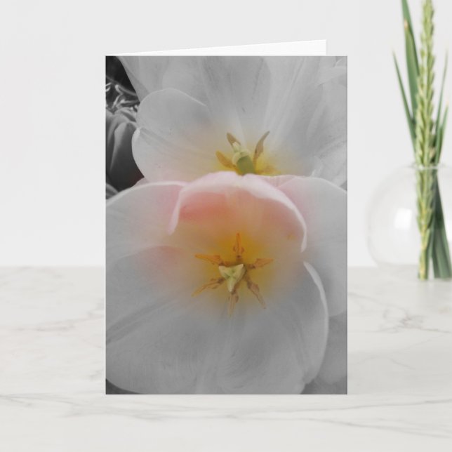 Elegance Card (Front)