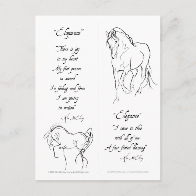 Elegance Eloquent Horse Bookmark Postcard (Front)