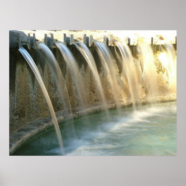 Elegance II Poster (Front)