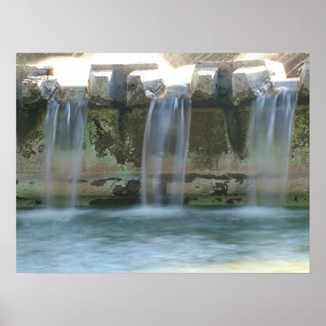 elegance poster (Front)