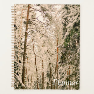 Elegant 2025 planner