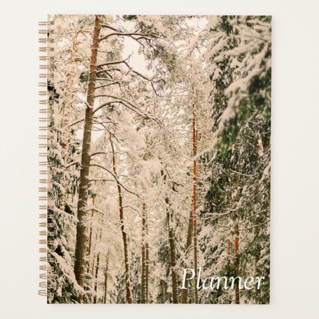 Elegant 2025 planner (Front)