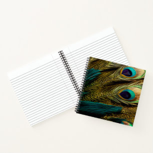 Elegant Abstract Teal Blue Gold Peacock Feathers   Notebook