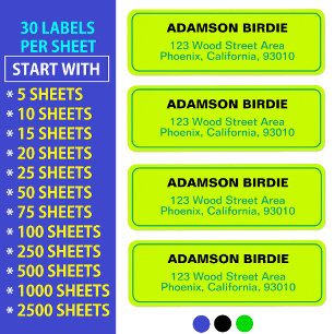 Elegant Address Stickers for Mail (Green Labels)