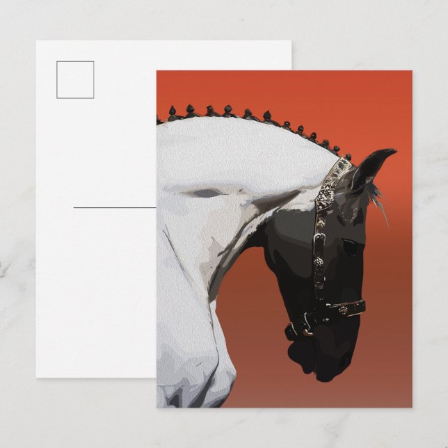 Elegant Andalusian Horse – Majestic Equestrian Art Postcard (Front/Back)
