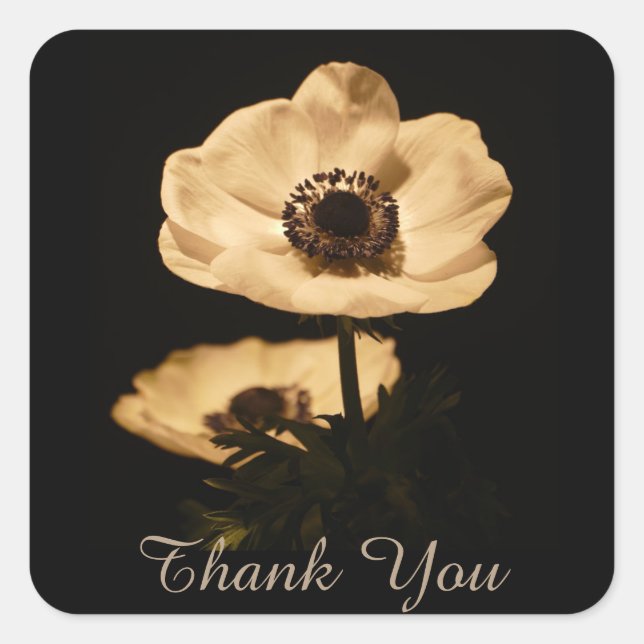 Elegant Anemone Flowers Thank You Square Sticker (Front)