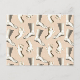 Elegant Antique Engraving Hands Feet Unique Postcard