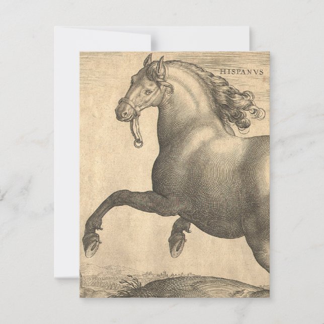 Elegant Antique Engraving of Spanish Horse Invitation (Front)
