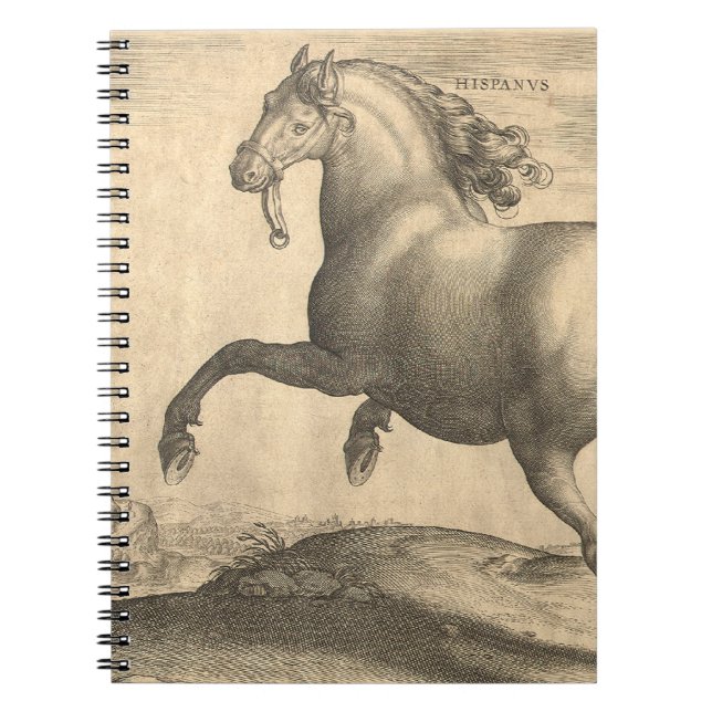 Elegant Antique Engraving of Spanish Horse Notebook (Front)