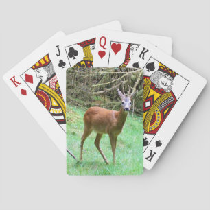 Elegant Antlered Buck Nature Scene Countryside Art Playing Cards