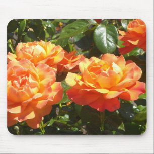 Elegant Apricot Roses Mouse Mat