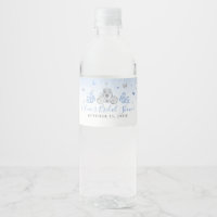 Elegant Baby Blue and Silver Princess Carriage