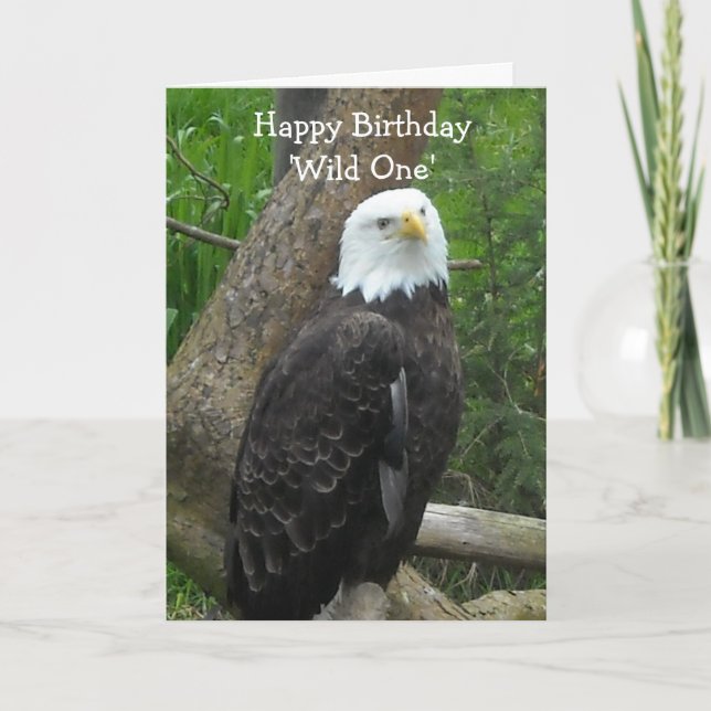 Elegant Bald Eagle Card (Front)