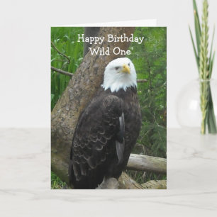 Elegant Bald Eagle Card
