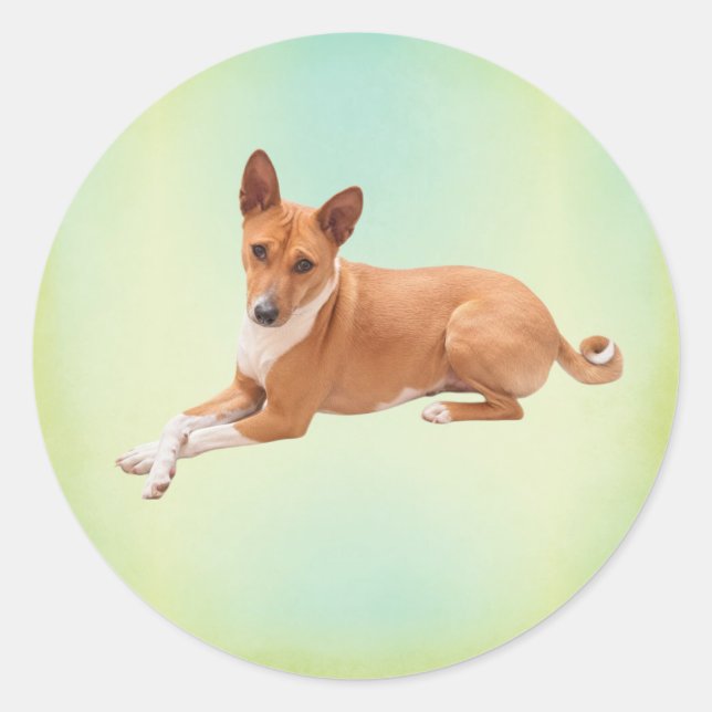 Elegant Basenji Dog  Classic Round Sticker (Front)