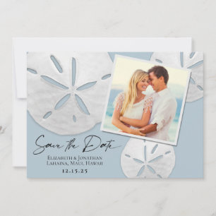 Elegant Beach Dusty Blue White Sand Dollars Photo Save The Date