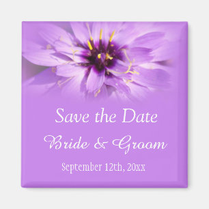 Elegant, beautiful purple daisy save the date magnet
