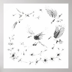 Elegant Birds and Floral Branch Illustration Poster
