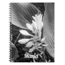 Elegant Black and White Floral Photo Personalised