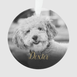 Elegant Black and White Pet Photo Memorial Ornament