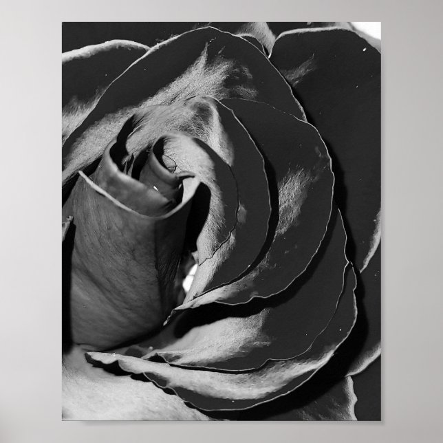 Elegant Black and White Rose Photo Poster (Front)