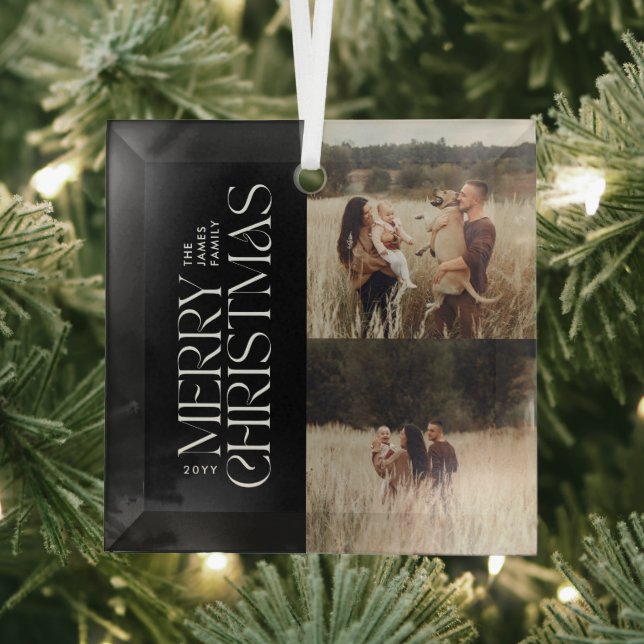 Elegant black foliage modern minimal photo glass tree decoration (Insitu)