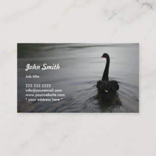 Elegant Black Swan Swimming on a Lake Profile Card