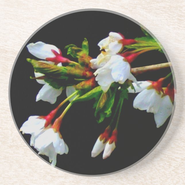 Elegant Black White flowering white Blossom Coaster (Front)