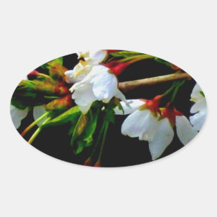 Elegant Black White flowering white Blossom Oval Sticker