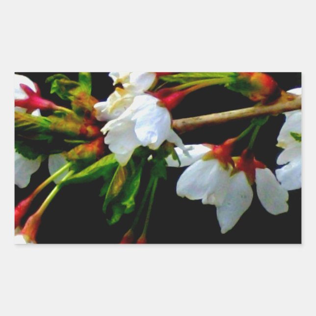 Elegant Black White flowering white Blossom Rectangular Sticker (Front)
