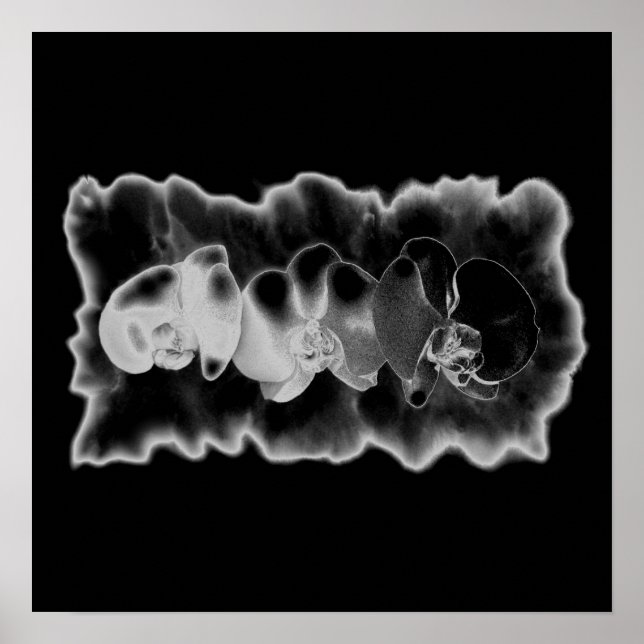 Elegant Black White Orchid painting trippy floral  Poster (Front)