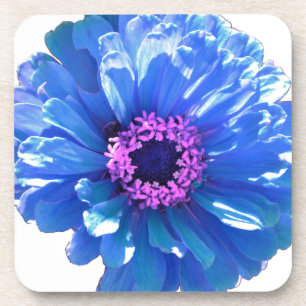 Elegant blue floral blue daisy coaster
