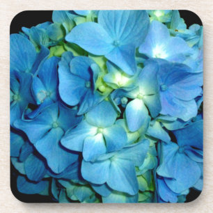 Elegant blue flower floral hydrangea   coaster