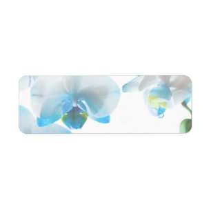 Elegant Blue Orchids Custom Labels