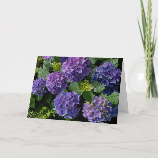 Elegant blue purple magenta green floral hydrangea card (Front)