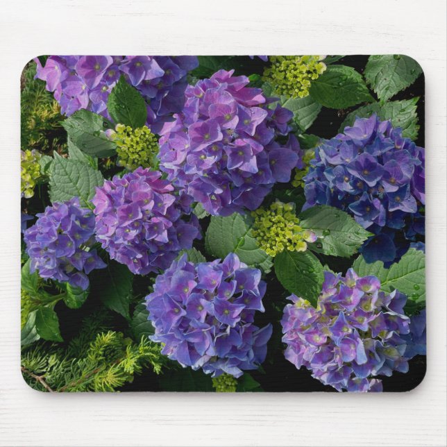 Elegant blue purple magenta green floral hydrangea mouse mat (Front)