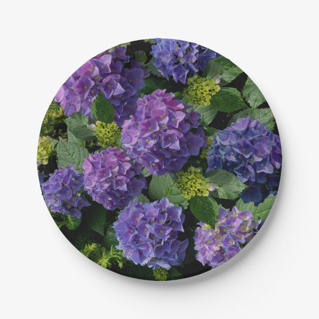 Elegant blue purple magenta green floral hydrangea paper plate (Front)