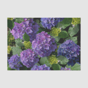 Elegant blue purple magenta green floral hydrangea tissue paper