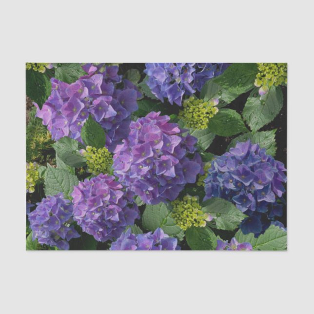 Elegant blue purple magenta green floral hydrangea tissue paper (Front)
