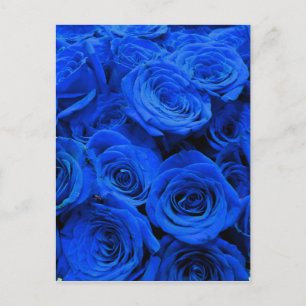 Elegant blue roses blue flowers blue floral postcard