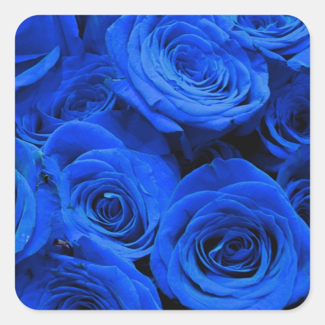 Elegant blue roses blue flowers blue floral square sticker (Front)