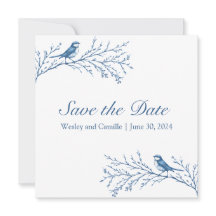 Elegant Bluejays on a Branch 