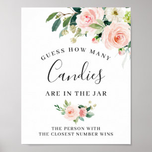 Elegant Blush Pink Flowers Floral Sign Poster