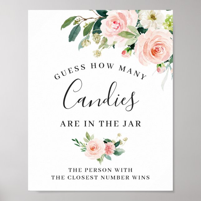 Elegant Blush Pink Flowers Floral Sign Poster (Front)