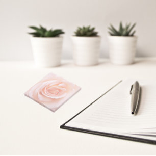 Elegant Blush Pink Rose Floral Post-it Notes