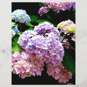 Elegant boho pink purple blue florals hydrangeas