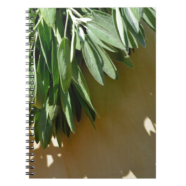 Elegant botanical green herbs leaves sage notebook (Front)